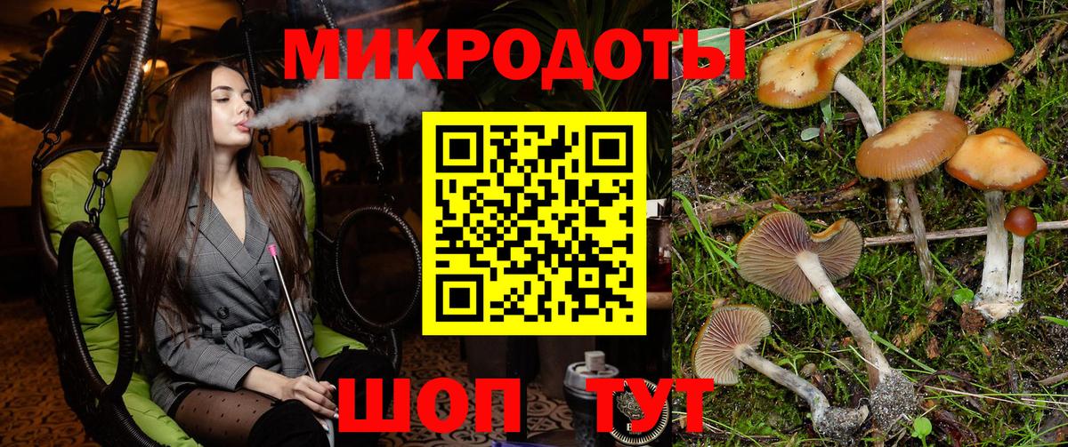 Псилоцибиновые грибы MAGIC MUSHROOMS Краснознаменск